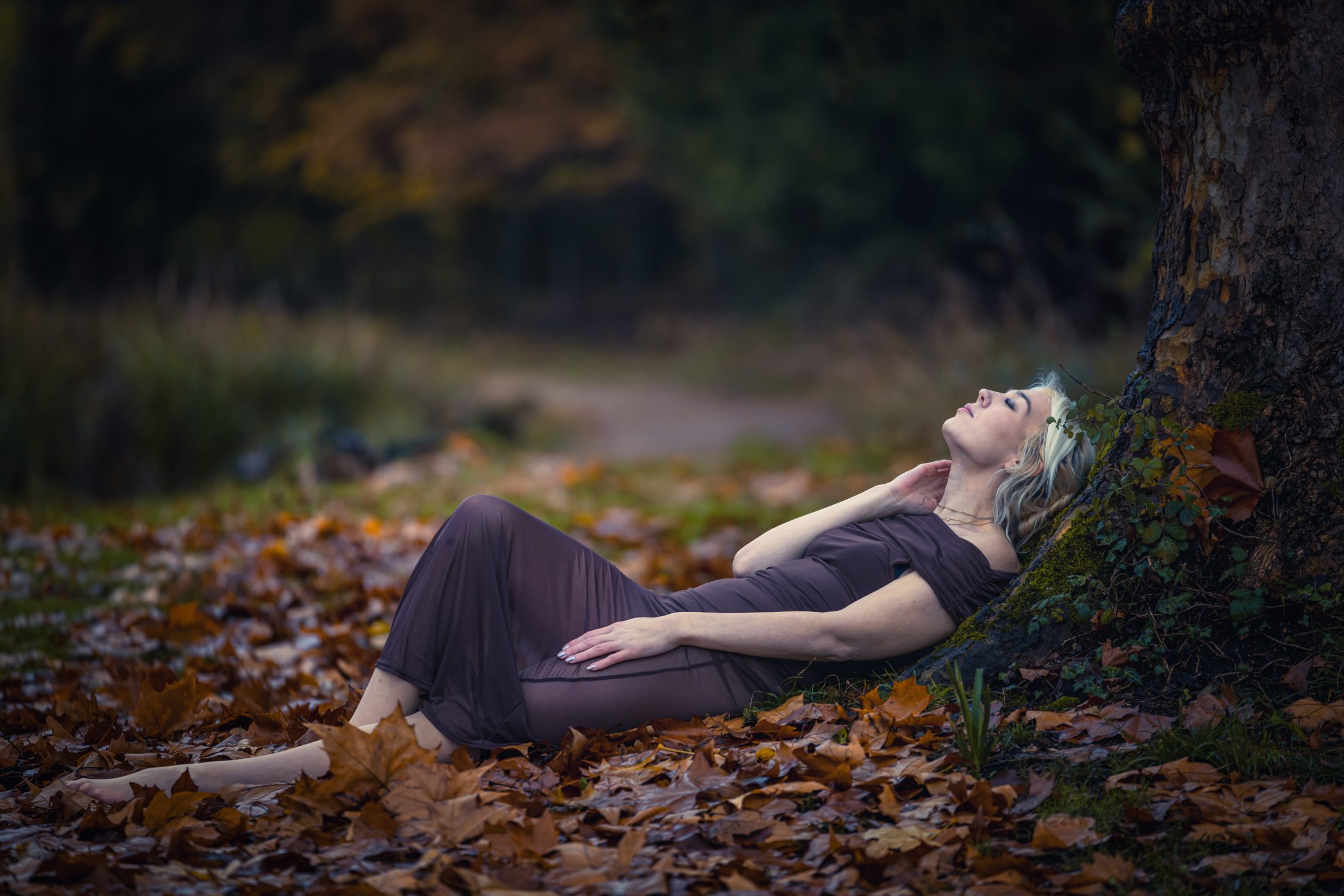 Scene image